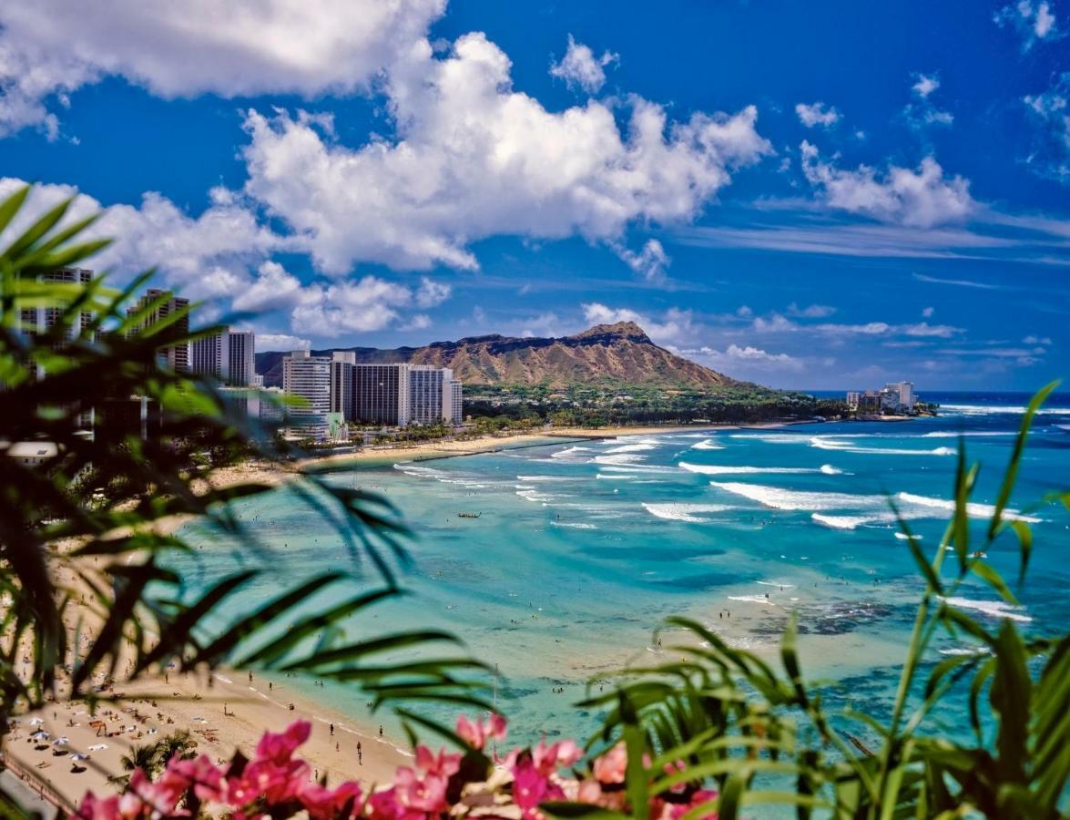 Beautiful Studio In The Heart Of Vibrant Waikiki Honolulu Zewnętrze zdjęcie