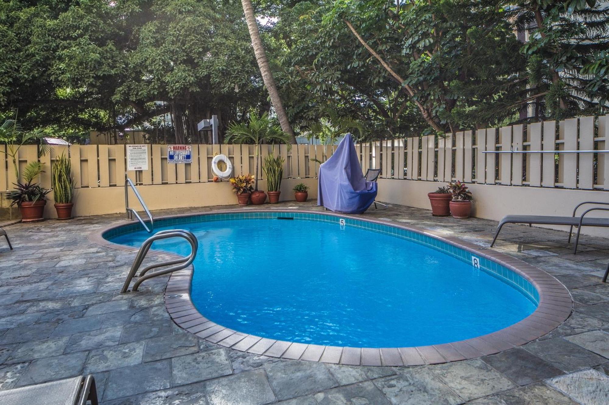 Beautiful Studio In The Heart Of Vibrant Waikiki Honolulu Zewnętrze zdjęcie
